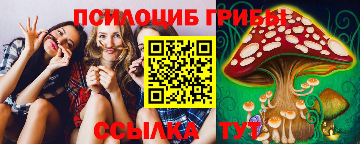 Новошахтинск  Псилоцибиновые грибы Magic Shrooms  Вход с VPN 
